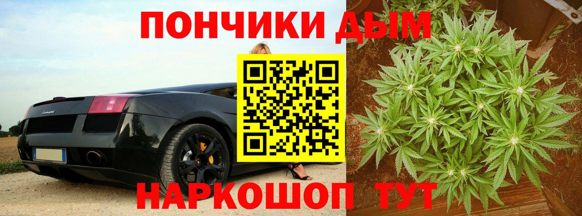 Бошки Шишки планчик  Вход с VPN  Бошки Шишки конопля  Марихуана сатива  Клинцы 
